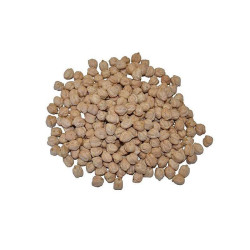 GARBANZO PEDROSILLANO ECO SACO 1/25Kg